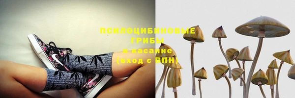 кристаллы Карпинск