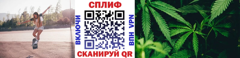 Конопля THC 21%  Михайлов 